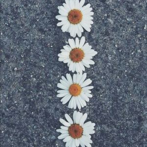 Meet your Posher, Hope_lim